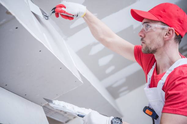 Best Commercial Painting  in Griggsvle, IL